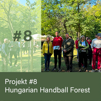 HUNGARIAN HANDBALL FOREST